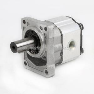 BREVINI/OT OilTechnology齿轮泵OT100P16R/G16P1/T PS1029114R
