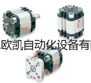 Bonesi气缸Cu系列.jpg