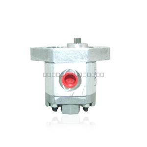 BUCHER gear pump AP05/0.25D819