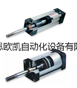 Bonesi cnomo系列气缸.jpg
