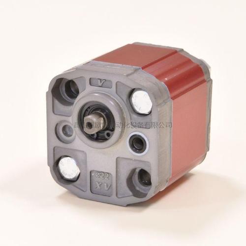 Italy VIVOIL Gear Pump XP020-HY series