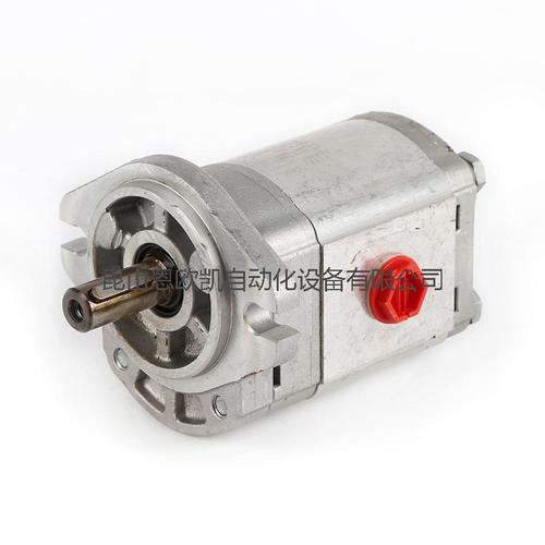 意大利CASAPPA马达PLM20.20R5-48WC-LTG/TG-N-FS-D-TC-DH(0199806E)