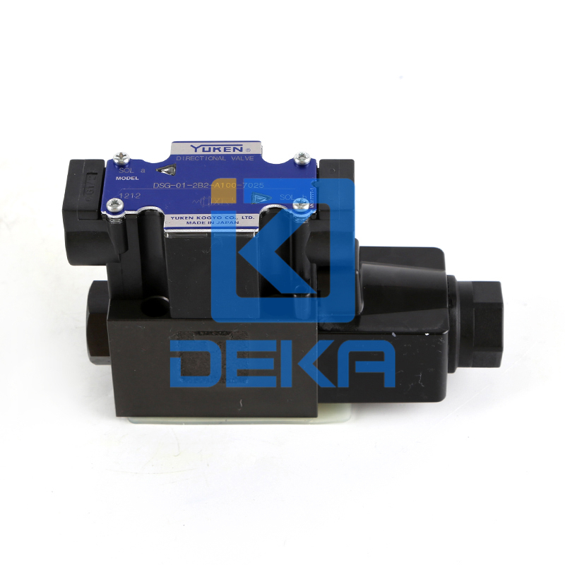 DSG-01-2B2-A100-7025(1).jpg