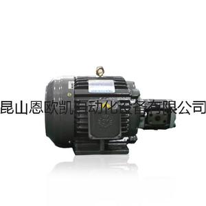 台湾群策SY Chyun Tseh 油泵电机 2HP/5.6KW