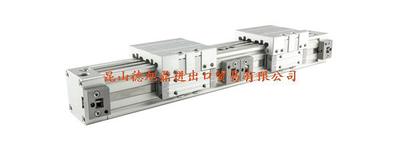 瑞士LANAMATIC无杆气缸ZGFK系列