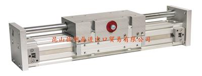 瑞士LANAMATIC无杆气缸ZFB系列