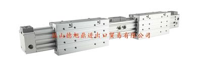 瑞士LANAMATIC无杆气缸ZGF系列