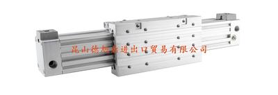 瑞士LANAMATIC无杆气缸ZF系列