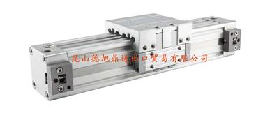 瑞士LANAMATIC无杆气缸ZFK系列