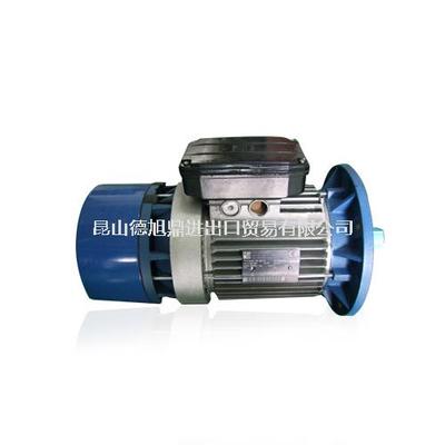 意大利MGM电机BADA100 LB4/12 1.1KW-3.5KW