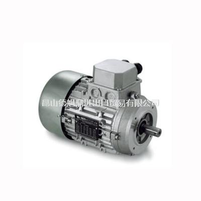 意大利NERI电机DP系列