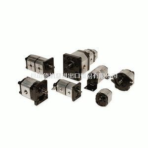 意大利BREVINI/OT OilTechnology齿轮泵PS1007121S