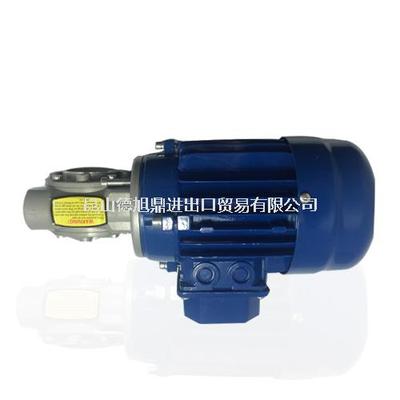 意大利NERI电机T63C4 0.22-0.26KW