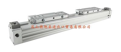 瑞士LANAMATIC无杆气缸ZTF系列