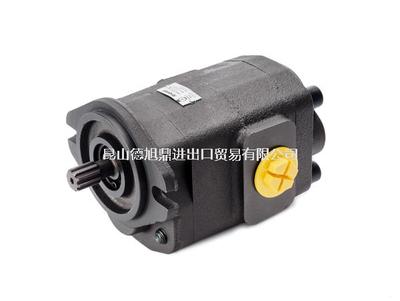 西班牙ROQUET铸铁双联泵