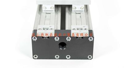 瑞士LANAMATIC无杆气缸ZP系列