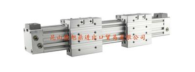 瑞士LANAMATIC无杆气缸ZTFK系列