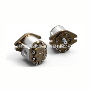 意大利GALTECH齿轮泵3GP系列