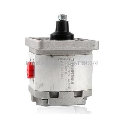 意大利GALTECH齿轮泵Y1901600013300L0