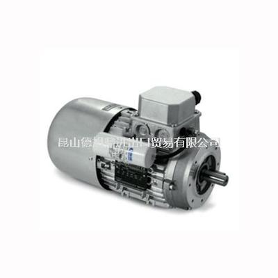 意大利NERI电机CP系列