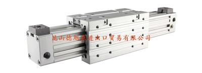 瑞士LANAMATIC无杆气缸ZFF系列