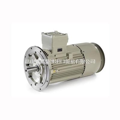 意大利ELECTRO ADDA防爆电机PE系列