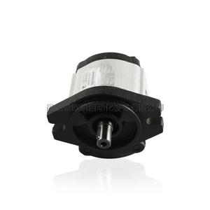 Italy RONZIO Gear pump 02ZCG08L434D