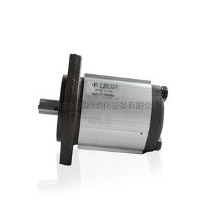 Italy RONZIO Gear pump 02ZCG06L437D