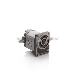 Italy RONZIO Gear pump Z2 series 2