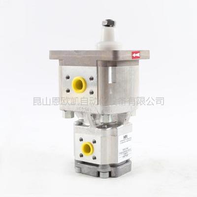 法国HPI双联泵P1BAN2008HA1003CL10B02N