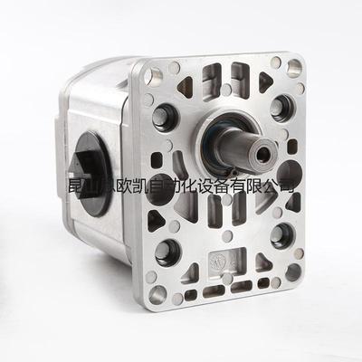 法国HPI齿轮泵P1BAN2015FL20C02N