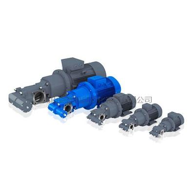 德国RICKMEIER齿轮泵R65-Aggregate-DE系列