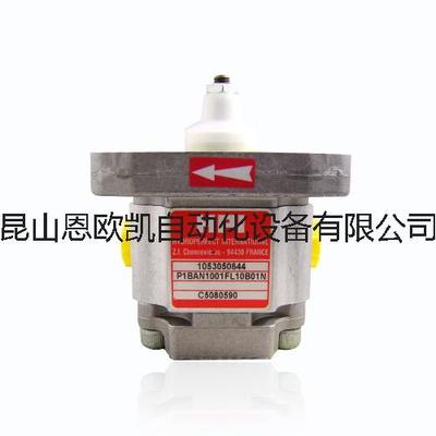 法国HPI齿轮泵P1BAN1001CA1001CA1001CL10B01N