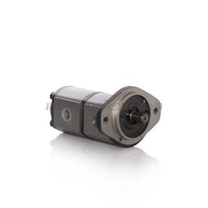Italy RONZIO Gear pump Z2 series 1