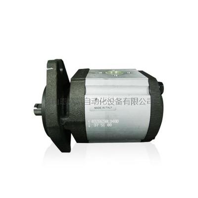 意大利RONZIO齿轮泵03ZBG50L348D
