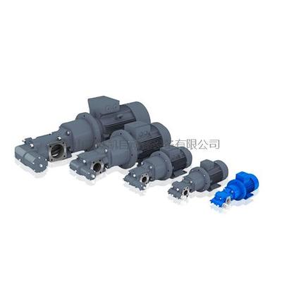 德国RICKMEIER齿轮泵R25-Aggregate-DE系列