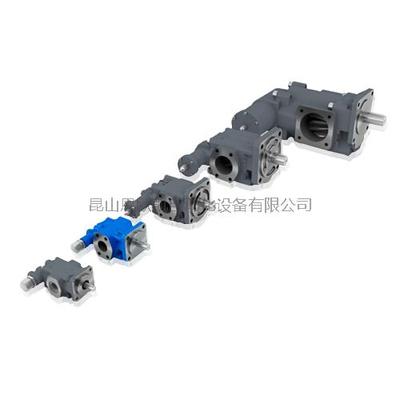 德国RICKMEIER齿轮泵R35-DE系列