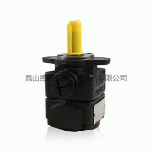 BUCHER Gear Pump QX22-005R