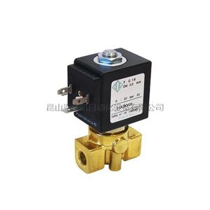 Italy ODE Solenoid Valve 21A series