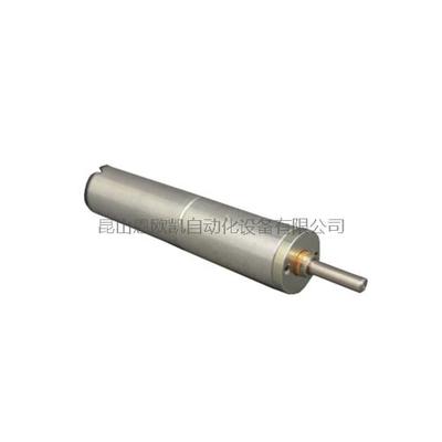 美国ANAHEIM电动机BDPG-12-30-2.4V-12500-R4