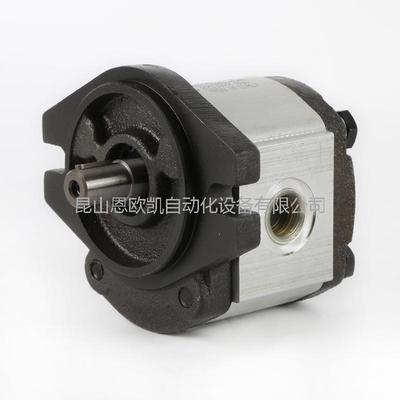 意大利RONZIO齿轮泵02ZCG06L434D