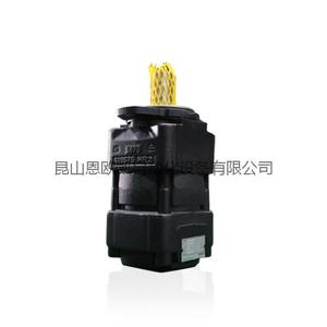 BUCHER Gear Pump QX21-012/22-008R