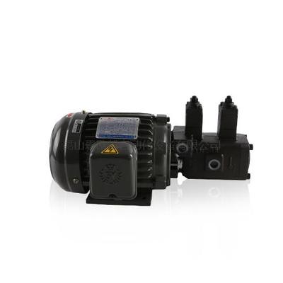 台湾EALY叶片泵VVPE-F12A-08A-10