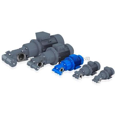 德国RICKMEIER齿轮泵R45-Aggregate-DE系列