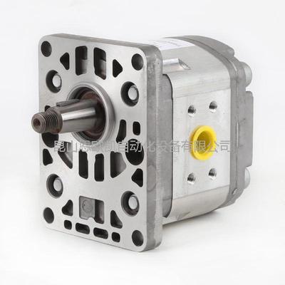 法国HPI齿轮泵P1BAN2008HL10B02V C5083900