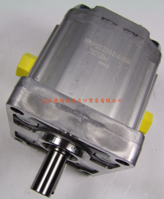 意大利LAMBORGHINI齿轮泵 HLPD/X.180C